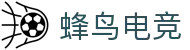 蜂鸟电竞官方网站 — 权威竞技比分赛事平台 FN Gaming